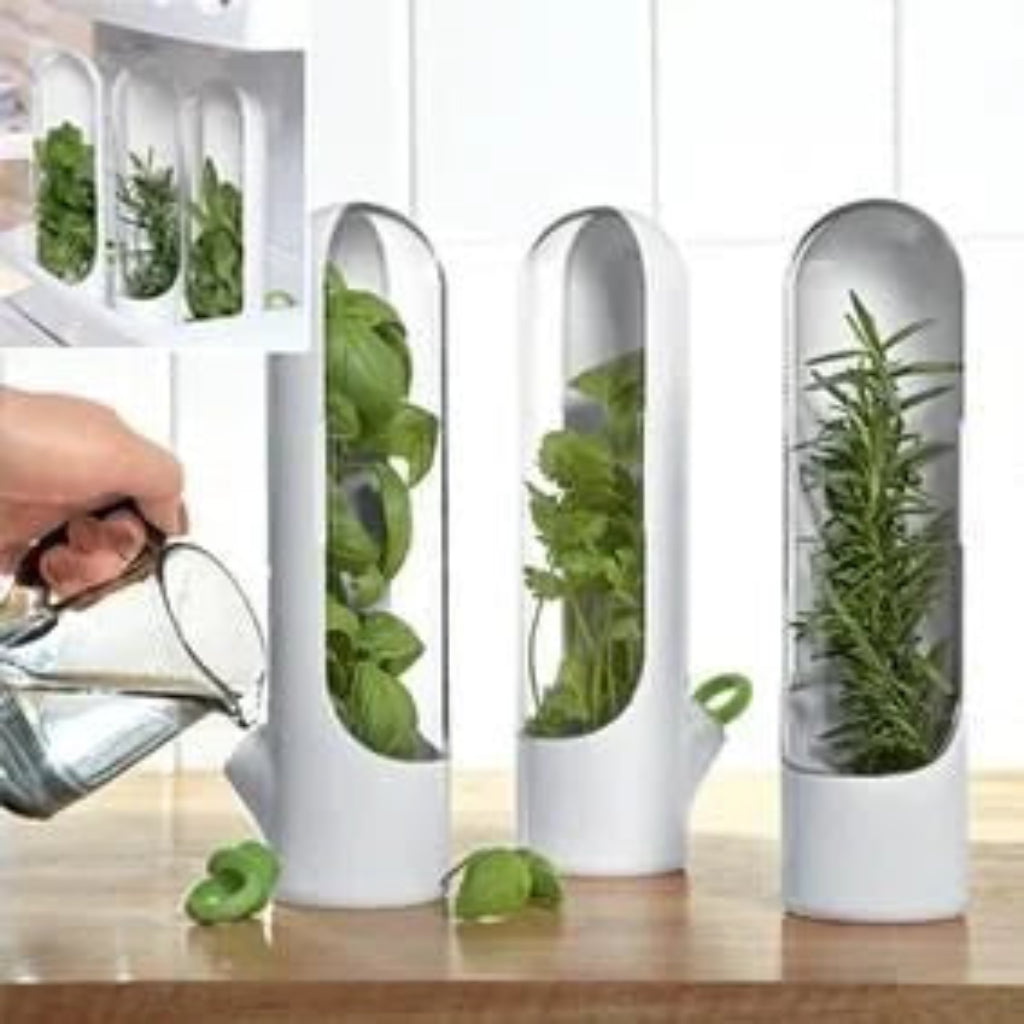 Conservador Premium de Hierbas y Vegetales